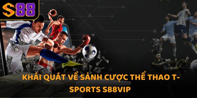 Khái quát về sảnh cược thể thao t-sports S88VIP 